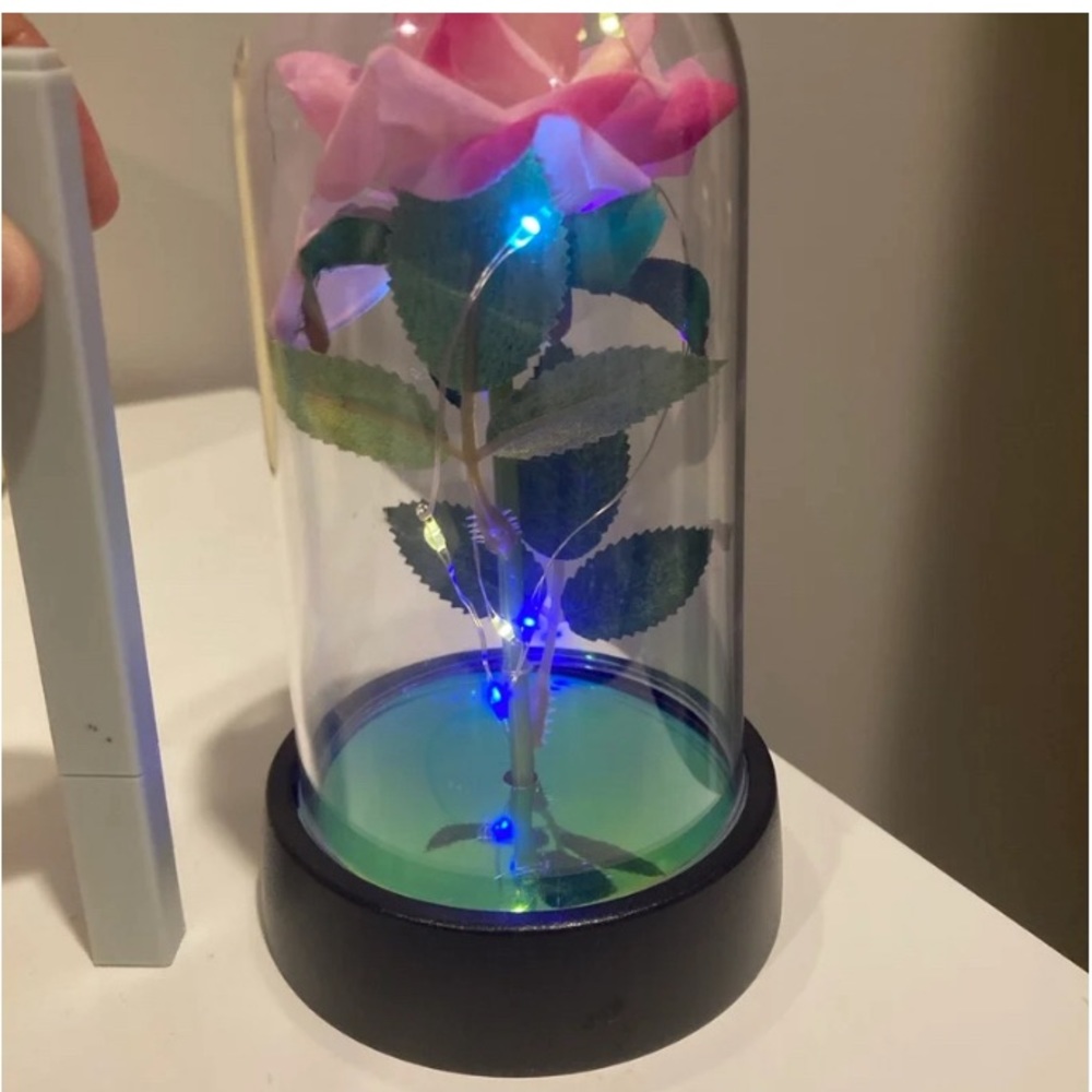 Fiber optic light